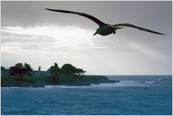 about océanos-españa